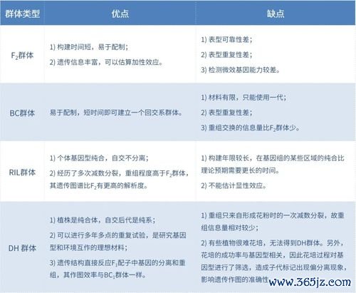 殴易欧易下载_欧易官网清退公告